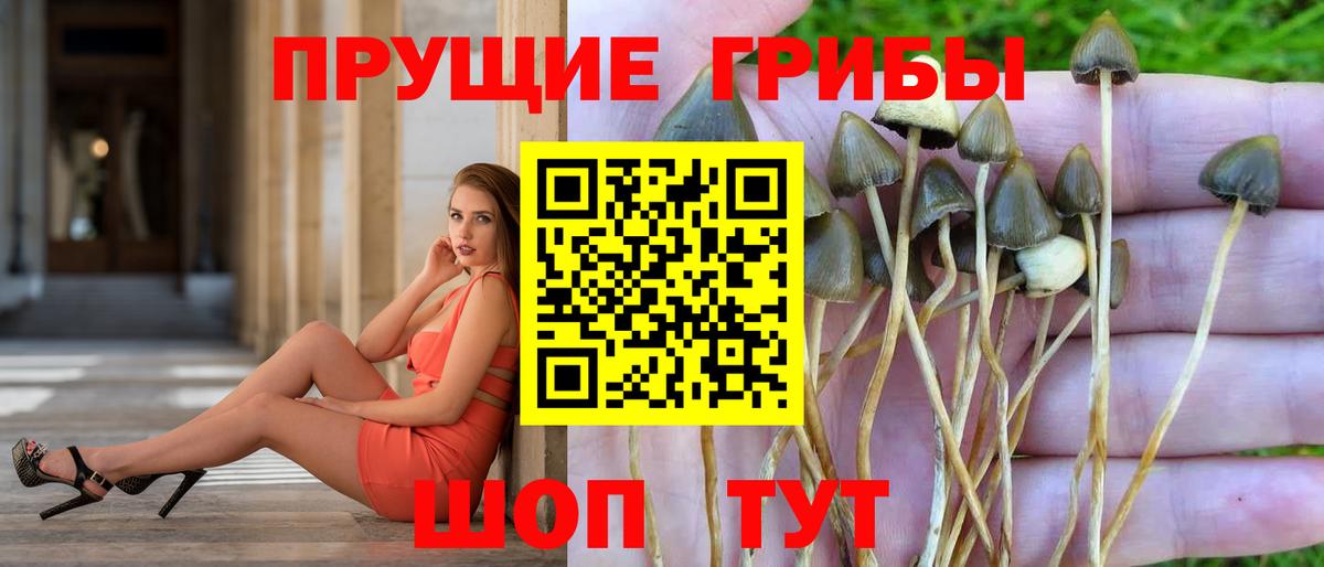 Псилоцибиновые грибы MAGIC MUSHROOMS  Вход с VPN  Сочи 