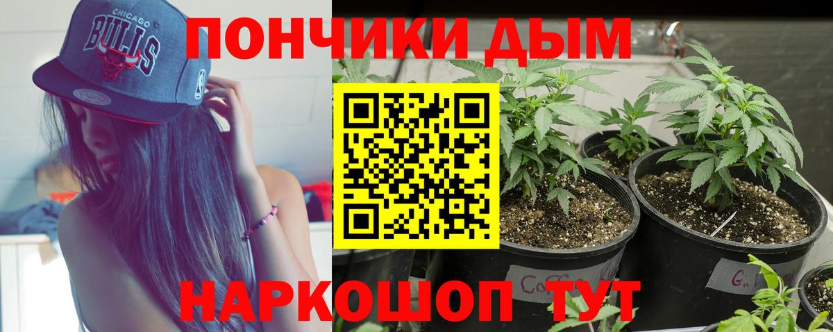 Сочи  Каннабис ГИДРОПОН  МАРИХУАНА OG Kush  Вход с VPN  Шишки марихуана OG Kush 